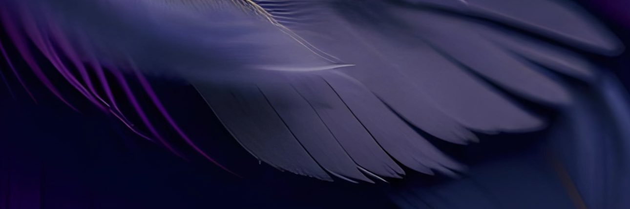 Ditto's banner