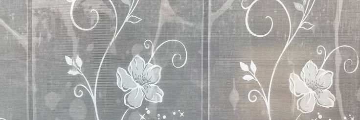 ໒꒱ིྀ༝⁺'s banner