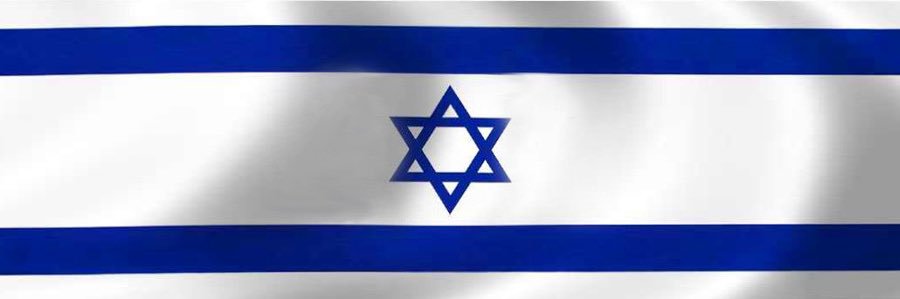 רון חולדאי's banner