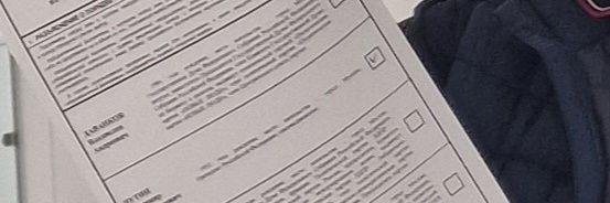 ОВОД's banner