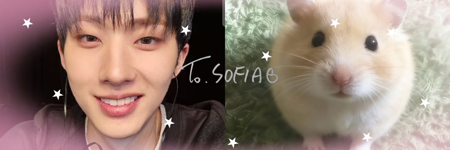 sofi's banner