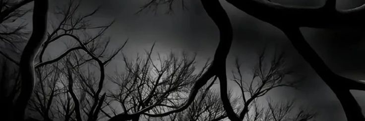 ♡‡'s banner