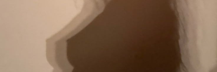 𝕺𝖑𝖆 ♡'s banner