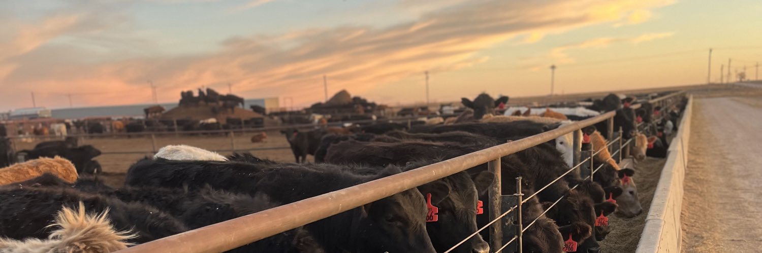 Amanda Fuller 🐮's banner