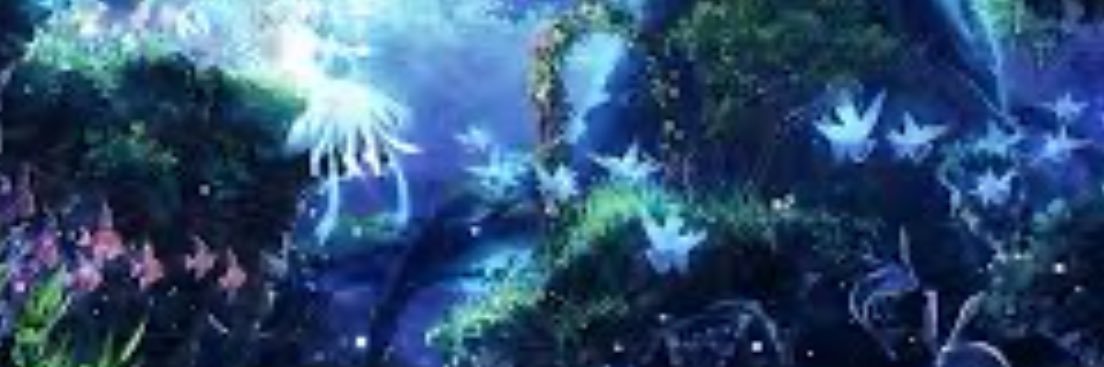 Kimy's banner