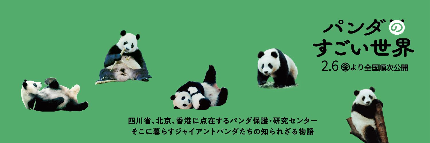 映画『パンダのすごい世界』公開中🐼's banner