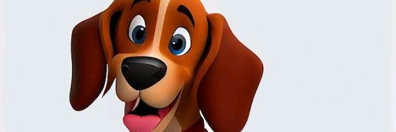 BooDY🐶's banner
