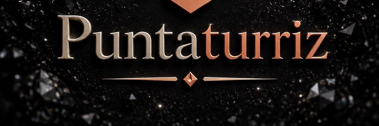 Punta T's banner