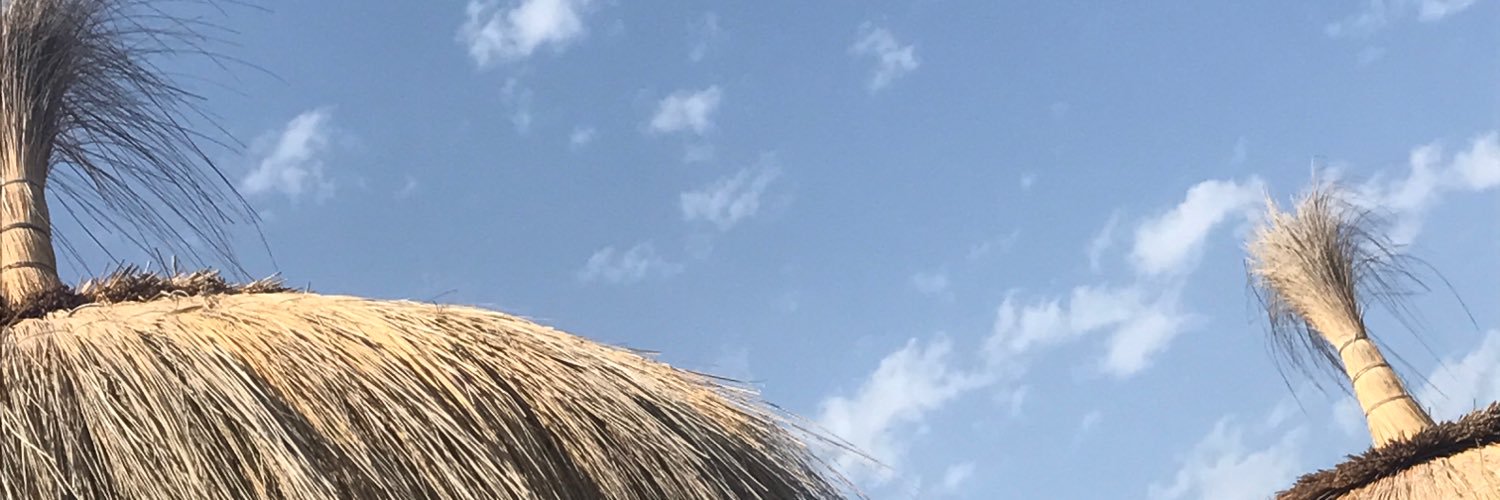 MNieves Ramirez's banner