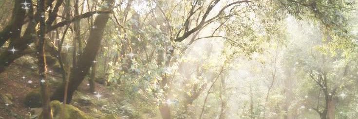 Gaia ☀︎︎︎'s banner