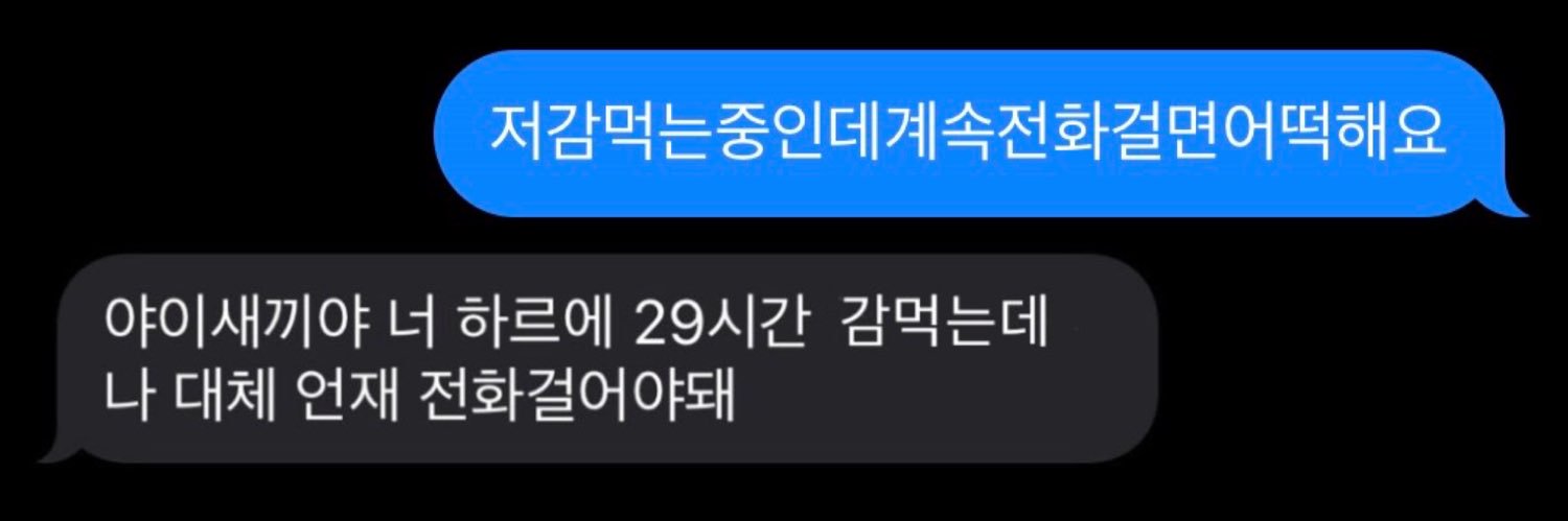 개's banner