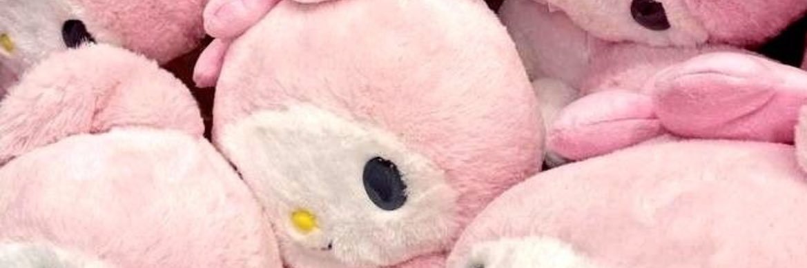 sana's banner