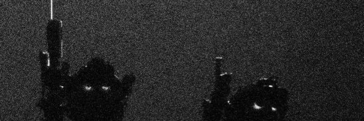 Zona🌵Groyp's banner