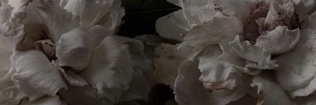 rory (18+)'s banner