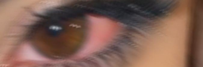 Lilly L.K 🇦🇱 🇺🇸's banner