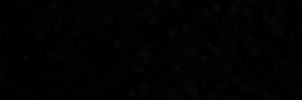 햄버거나라망명정부 🍔's banner