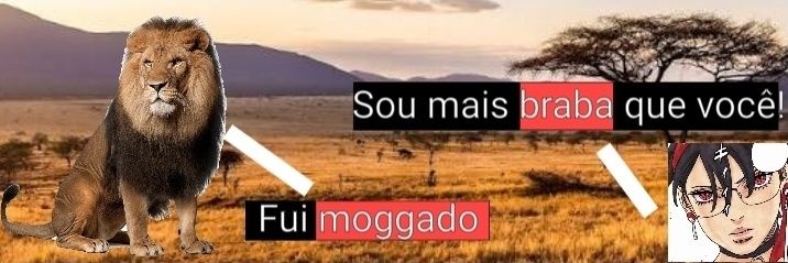 Aery prefeita da ilha de Marajó 🥛's banner