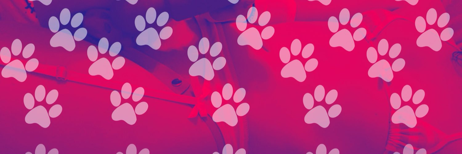 ☆betabunni☆'s banner
