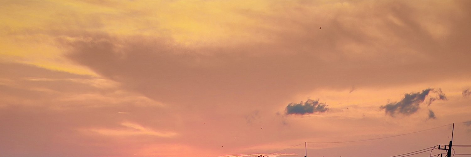 𝓚𝓮𝔀𝓪𝓵𝓲𝓷(𝓛𝓲𝓷)'s banner