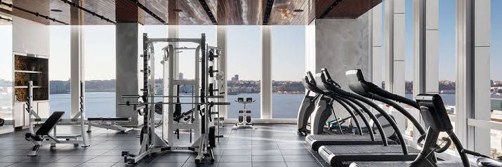 MUSCLE ELITE's banner