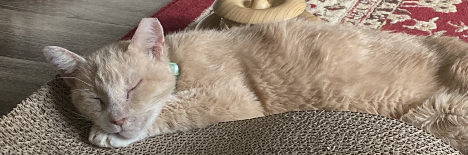 charlie's banner