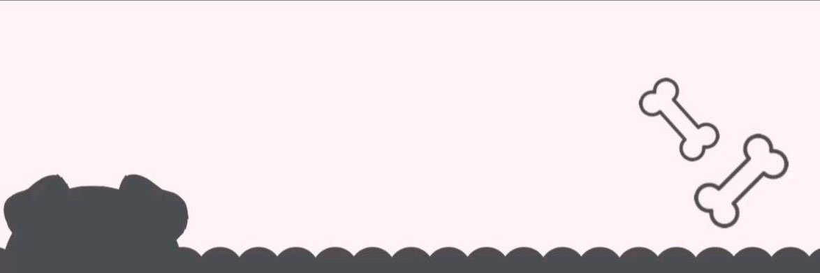 vivi🐾's banner
