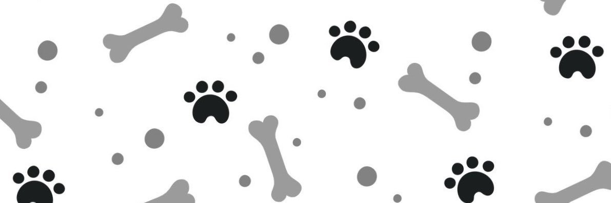 vivi🐾 || top 9%'s banner