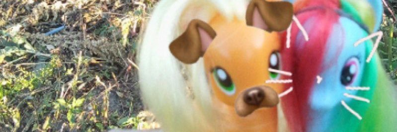 pol's banner