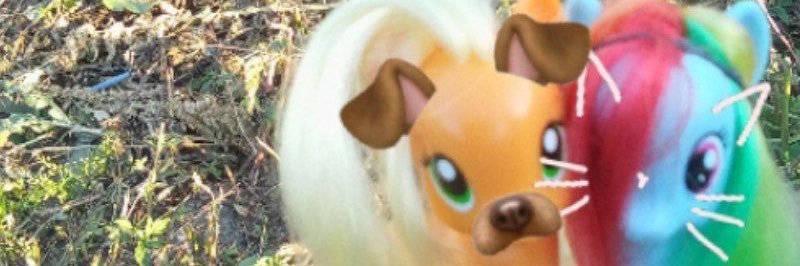 pol's banner
