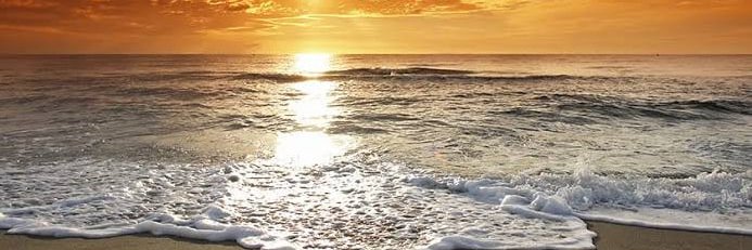 🌸F o R🇹🇼's banner