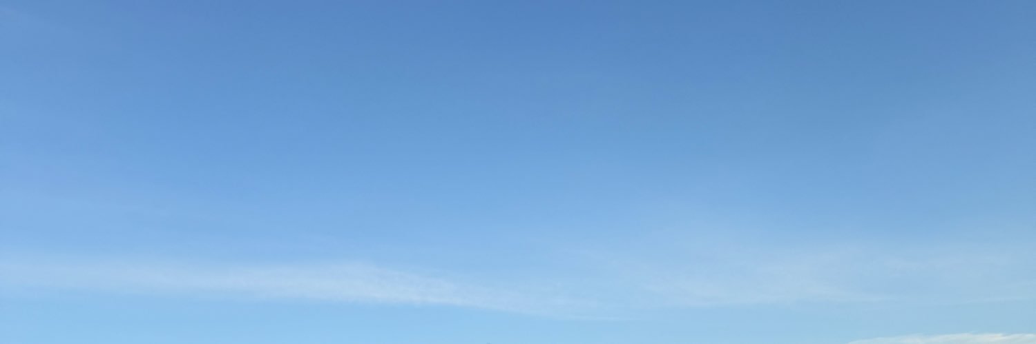 viralX's banner