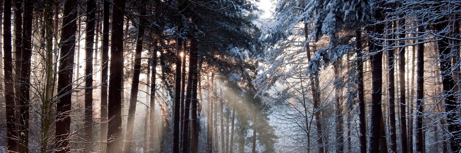 NordicGirls 2.0 🌲's banner