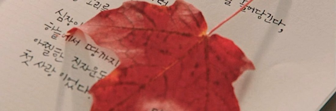 🍁's banner
