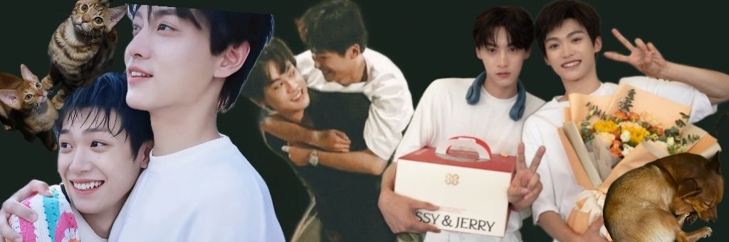 은's banner