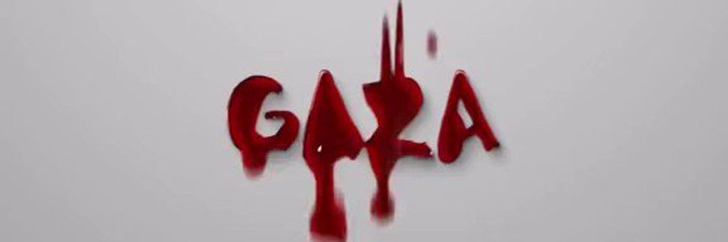 🍉Maria From Gaza 🍉🇵🇸's banner