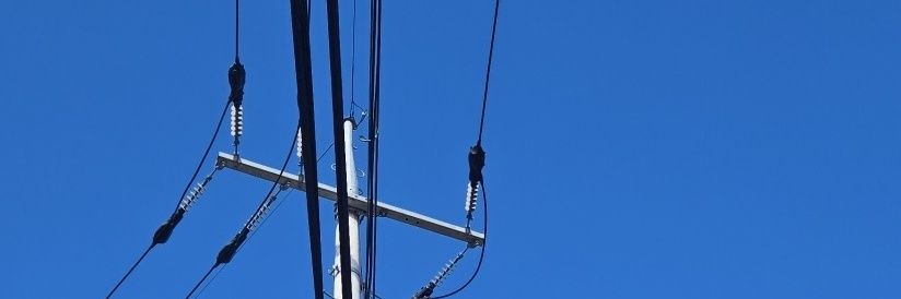 bondageman's banner