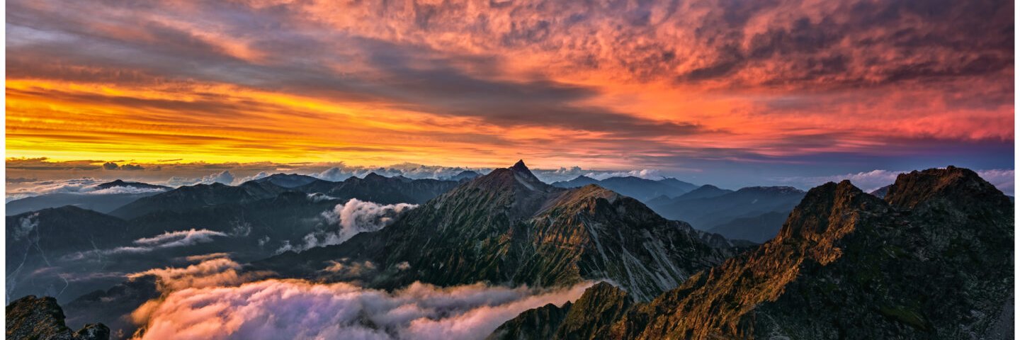 ずっと面白い動画's banner