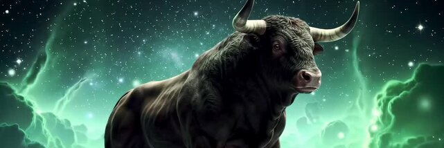 BLACK BULL's banner