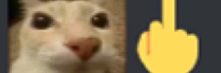 灭狗大王's banner