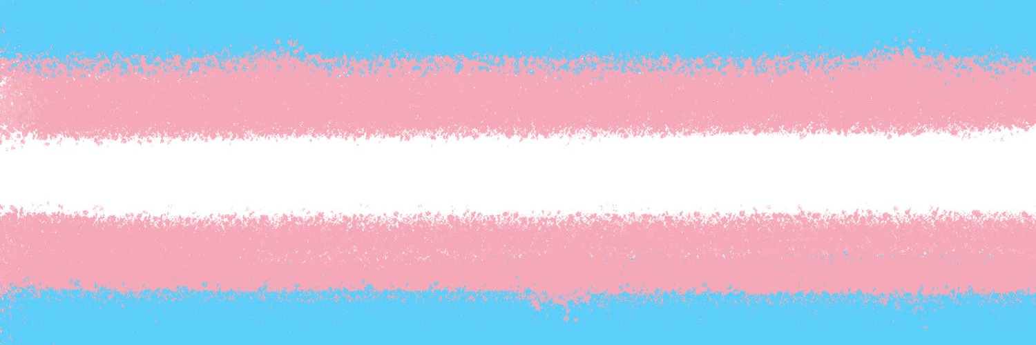 Trans | Sissy | Femboy's banner