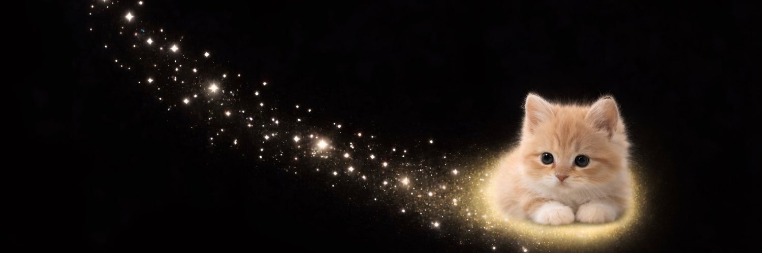 𝘒𝘦𝘯𝘰 𝘝𝘪𝘰𝘭𝘦𝘵𝘵𝘰 💌's banner