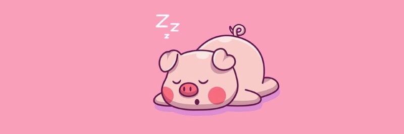 nố lù là gì ?'s banner