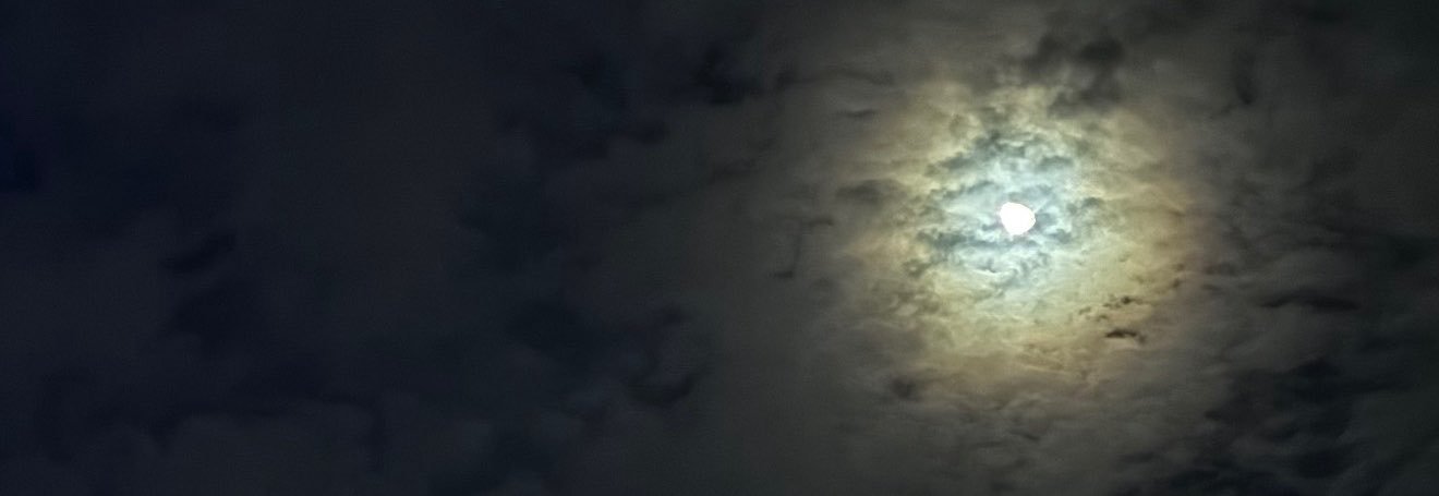 niko xx's banner