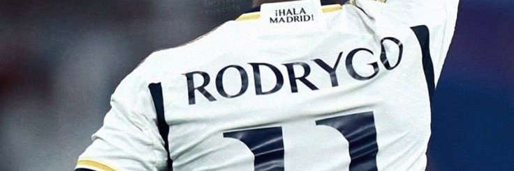 𝙍𝙞𝙘𝙝𝙞𝙚✞'s banner
