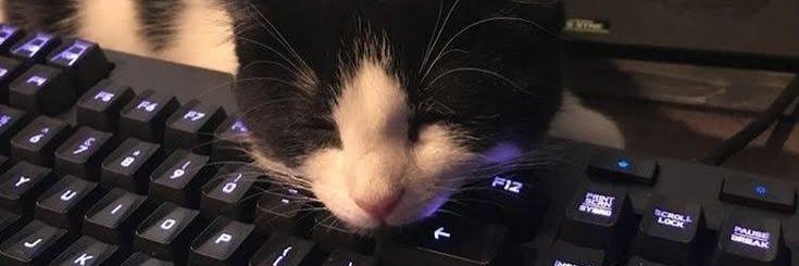 Cute Cats's banner