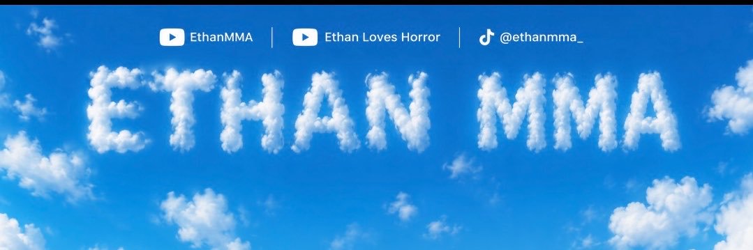 Ethan MMA's banner