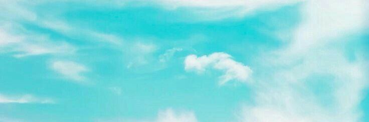 NAD's banner