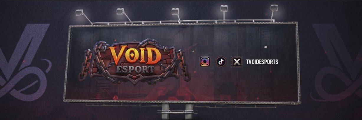 Team VoidEsports's banner
