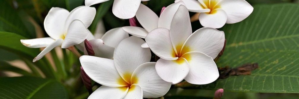 Stormi's banner