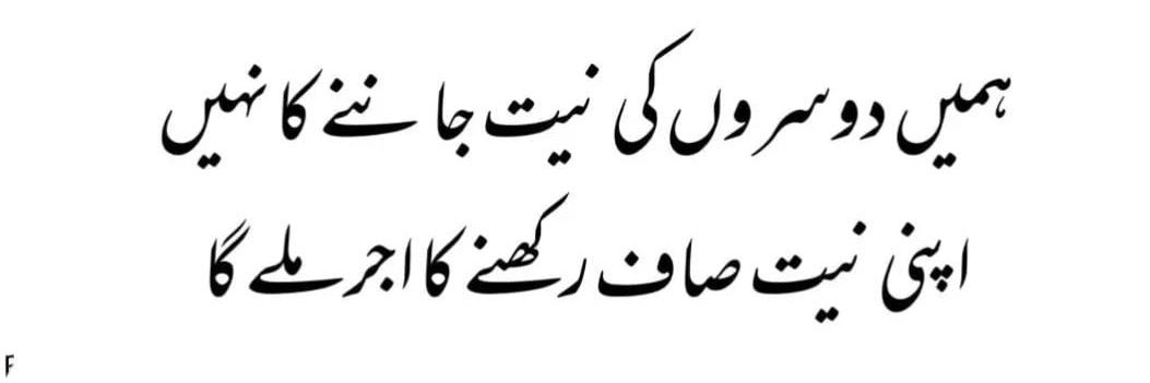 Hamid's banner